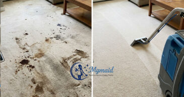 Mymaid-Cleaning-before-and-after-capert-cleaning